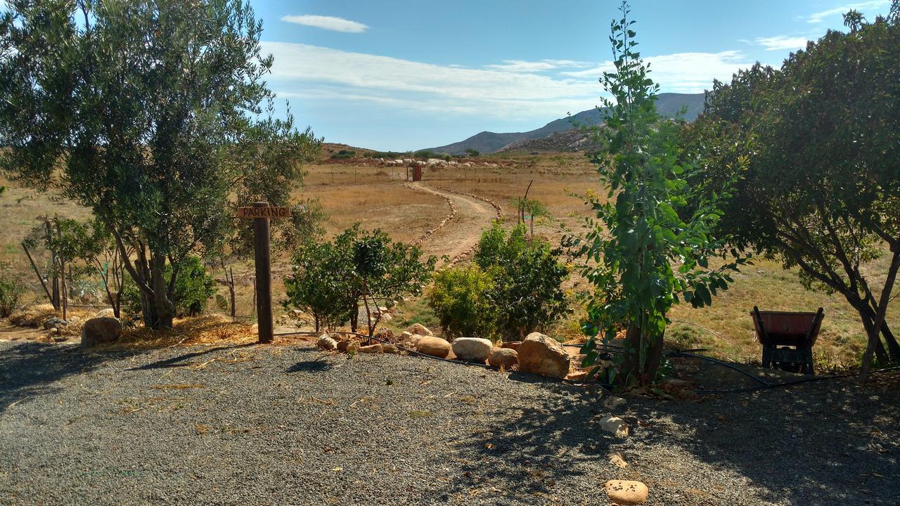 Vinofilia Wine Country Inn Valle de Guadalupe Zewnętrze zdjęcie